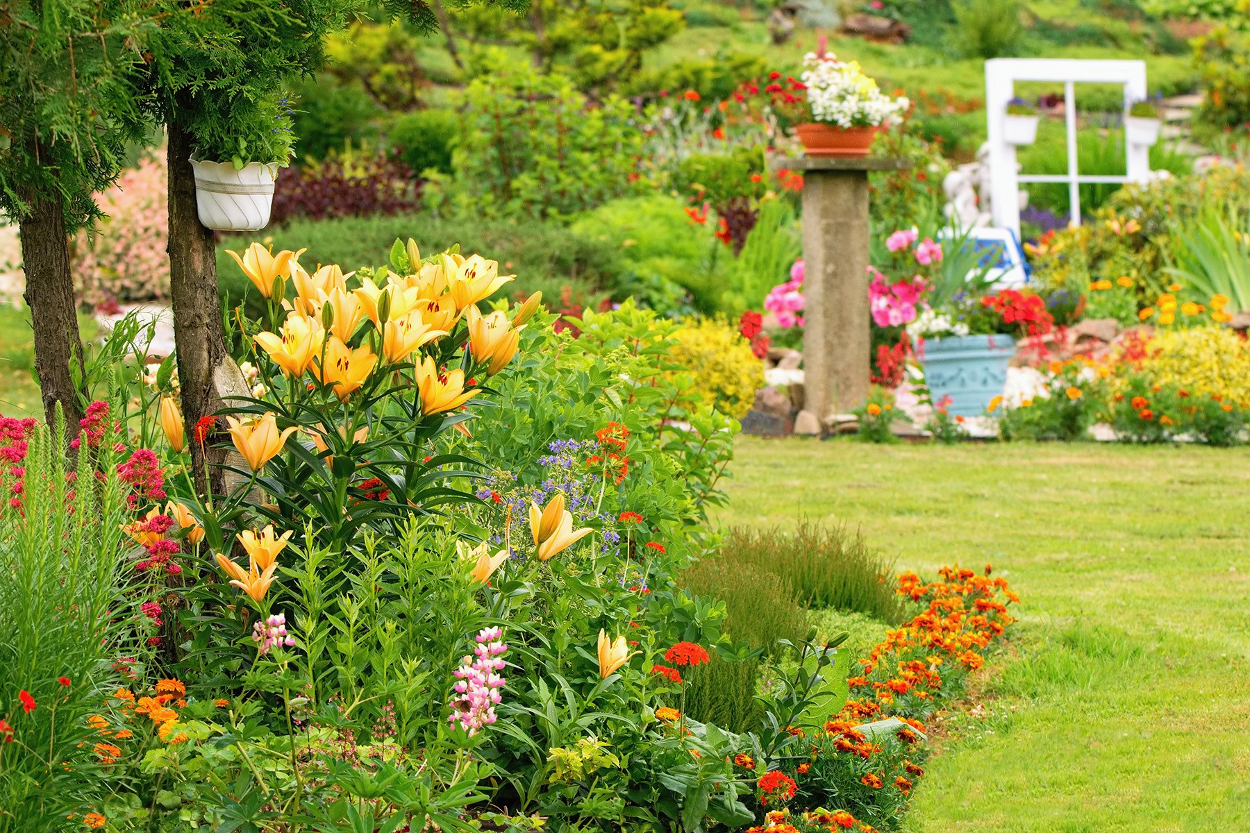 tips om je tuin zomerproof te maken